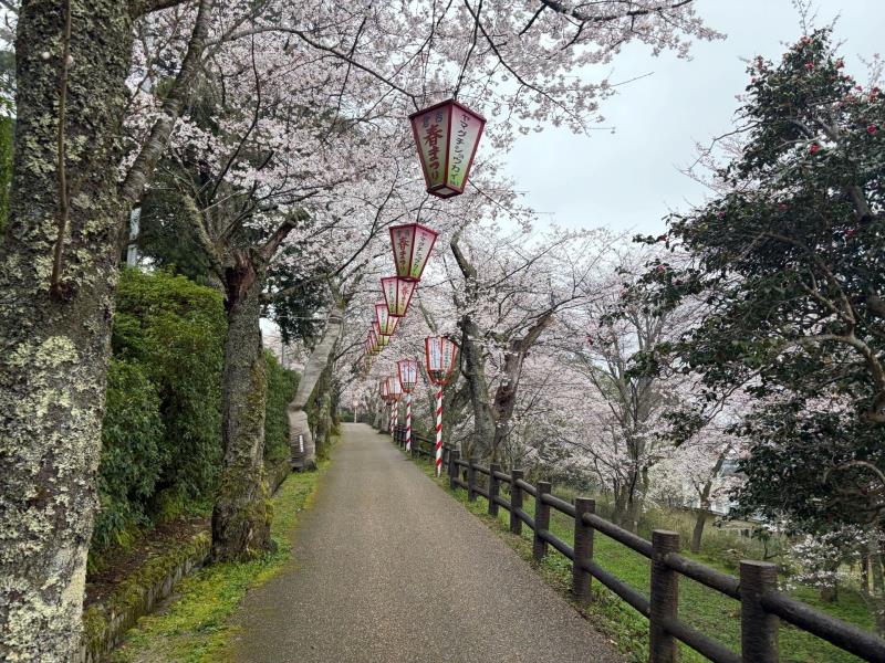 公園内の様子